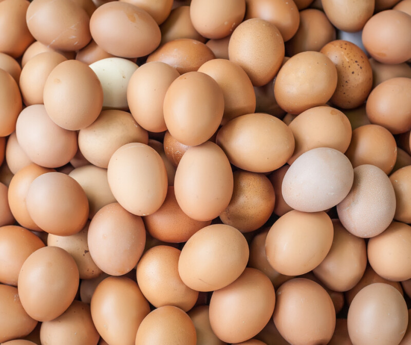 La chasse aux (vrais) œufs