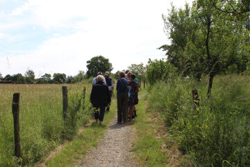 Jardins de roses, d'abeilles et de groseilles : Le chemin des herbes folles