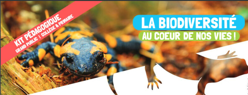 Exposition Biodiversité, au cœur de nos vies !