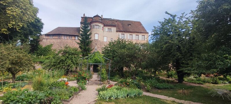 Visite du jardin partagé des remparts de Saverne