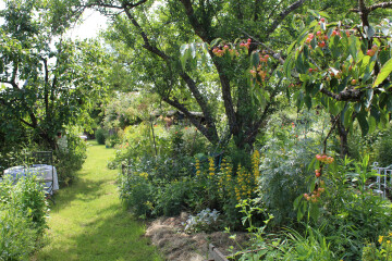 Jardins de roses, d'abeilles et de groseilles : La Clairière et le Verger d'herbes folles