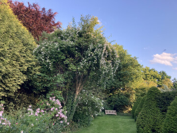 Visite guidée : le Jardin botanique "Le Clos de Chanchore" et la vue !