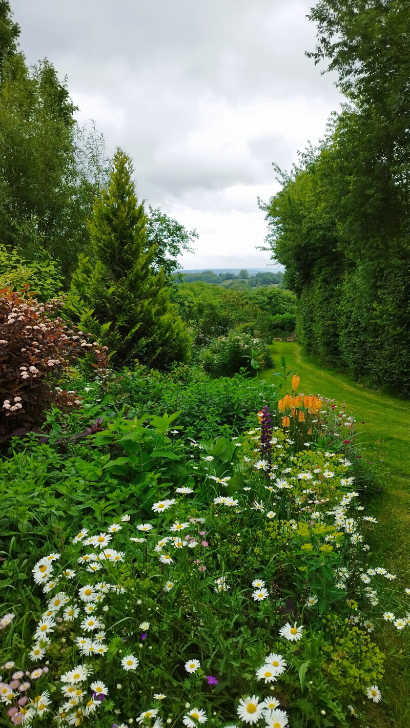 Visite libre découverte du jardin