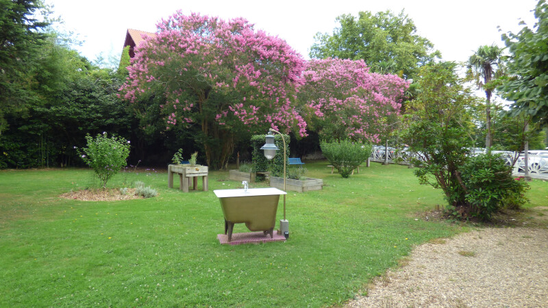 Croquons notre jardin !