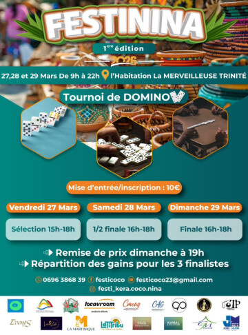TOURNOI DE DOMINO