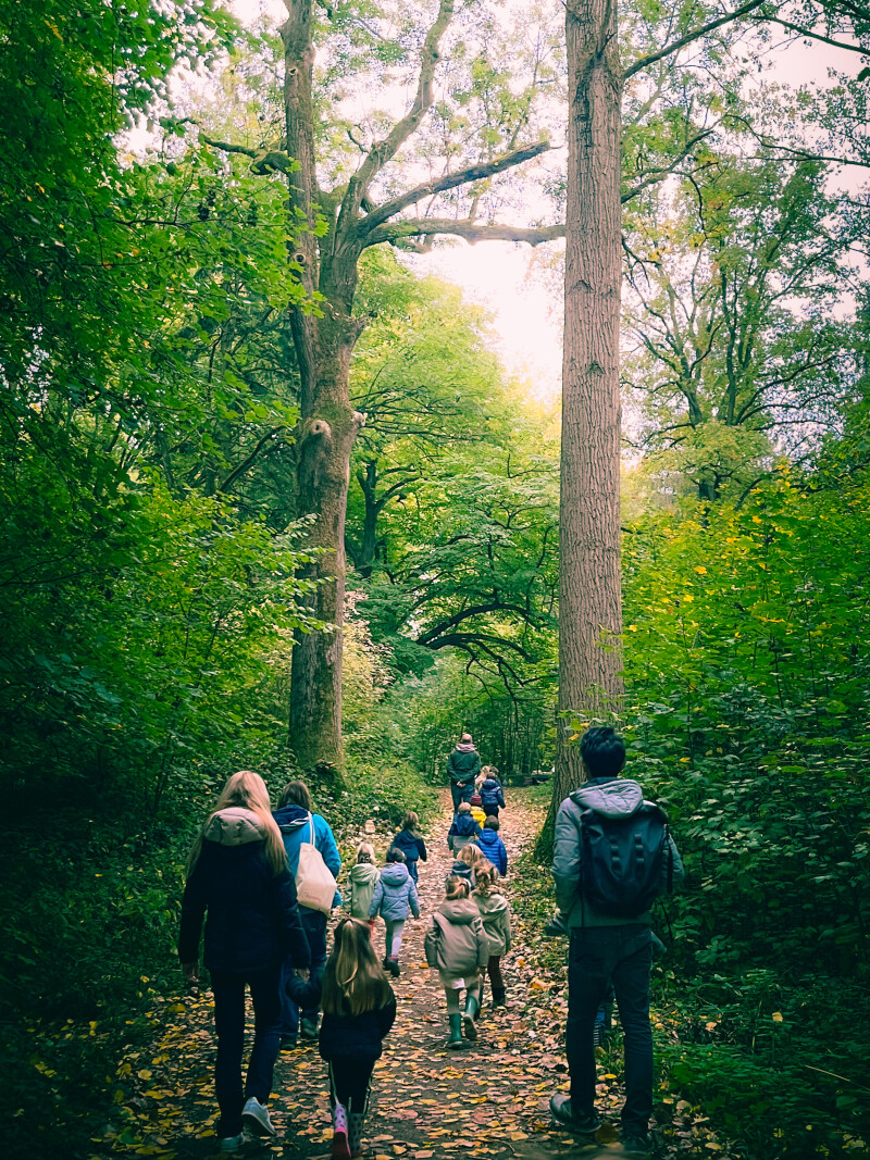 Les mercredis des tout-petits