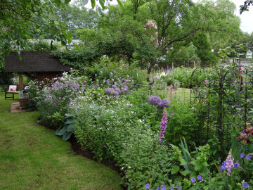 Jardins de roses, d'abeilles et de groseilles : Le Jardin Coquelicot
