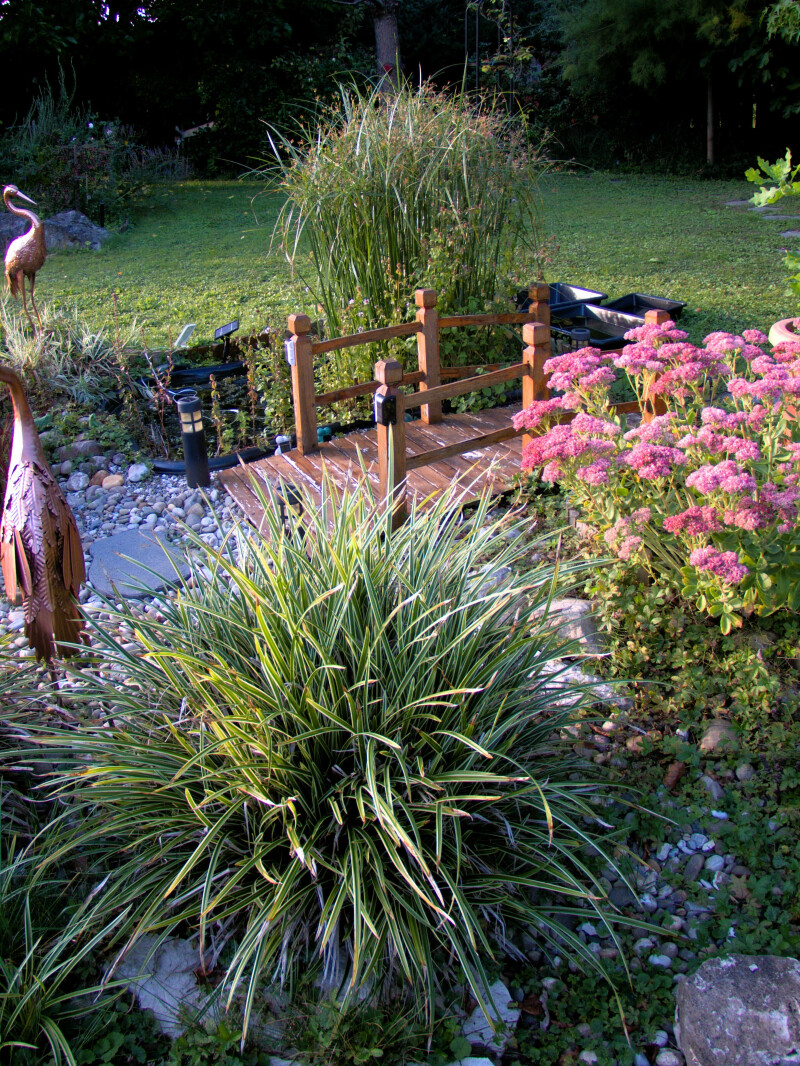 Le Jardin à travers les Yeux