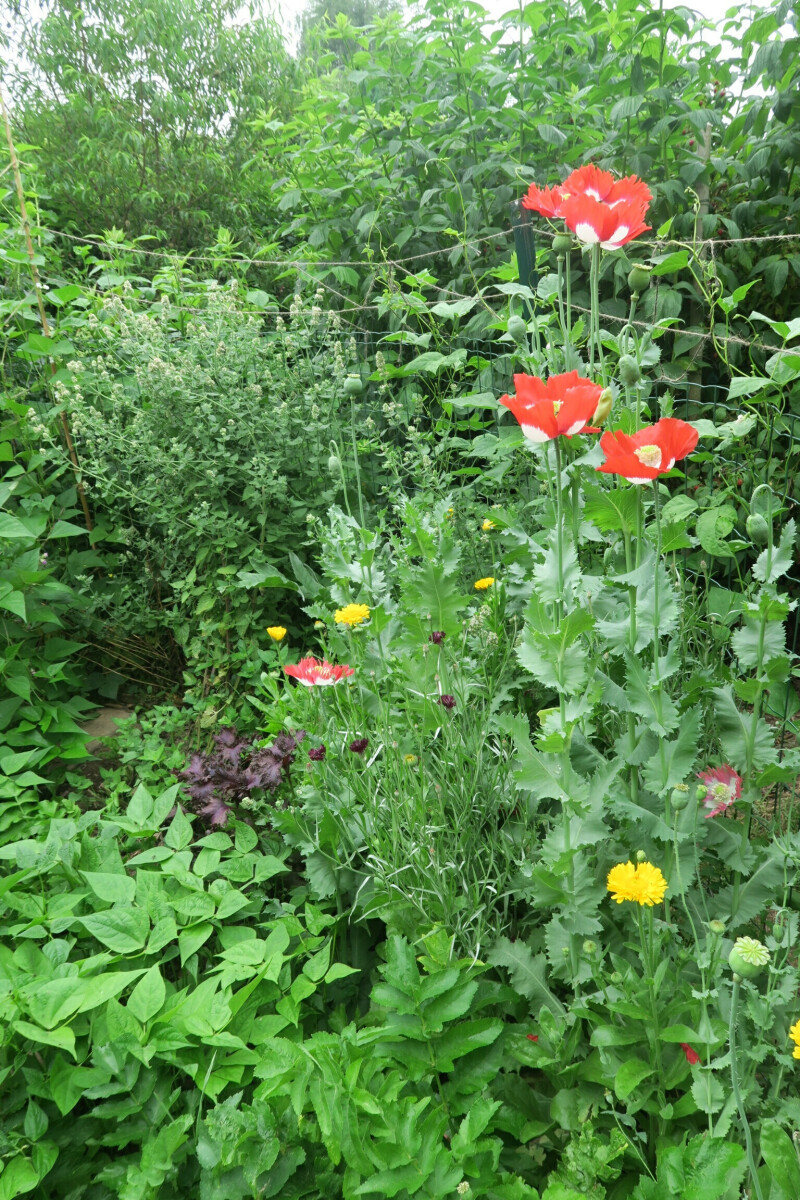 Visites guidées thématiques
