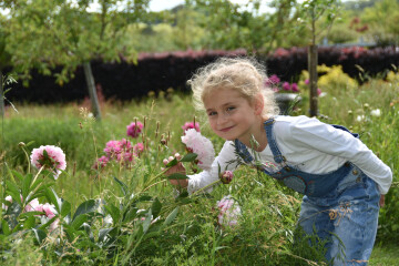 Chasse au trésor au milieu des fleurs