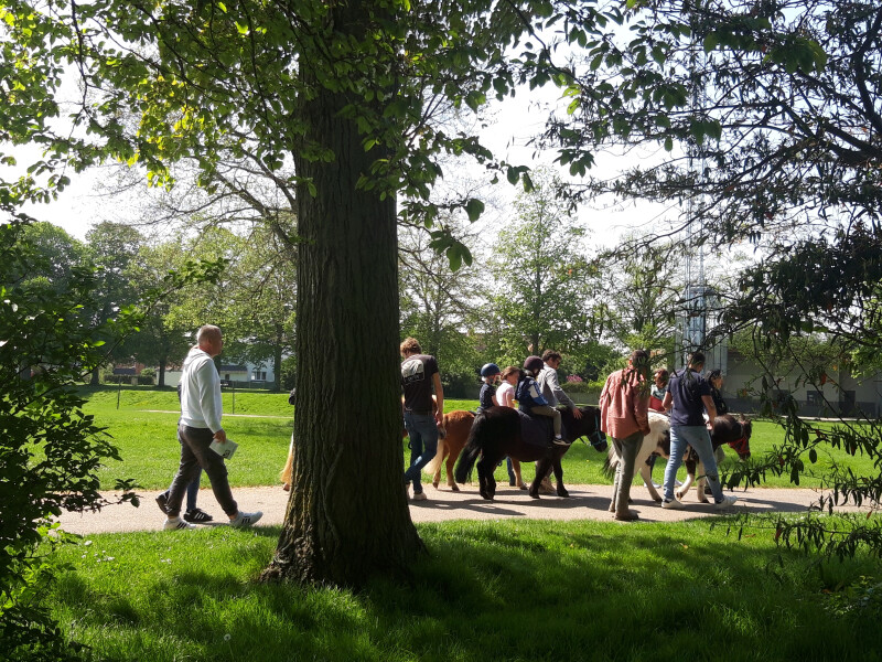 Circuit à poney : Les anciennes fortifications de Saint-Omer