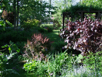 Visite du jardin Farandole pour un Curieux