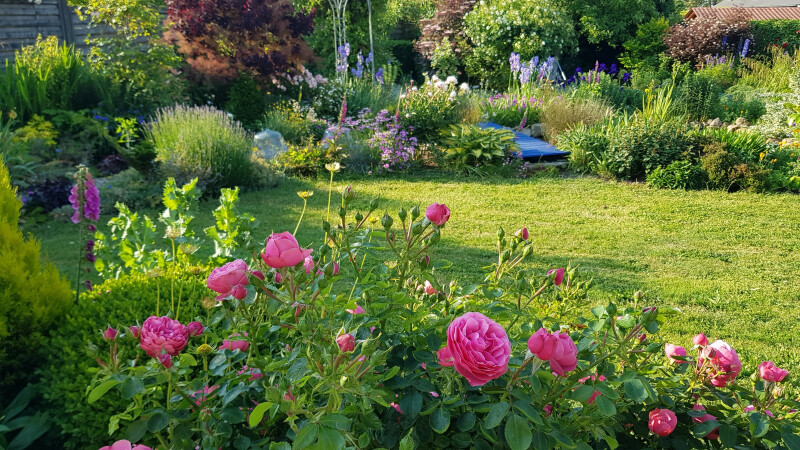 Promenade contée au  Clos d'Eli.
