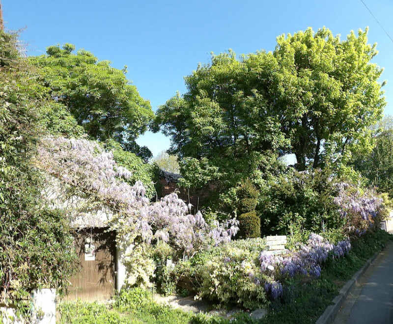 Visite guidée du Jardin des Tours de Mont Saint Éloi