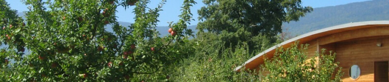 Visite découverte du verger de sauvegarde des variétés anciennes