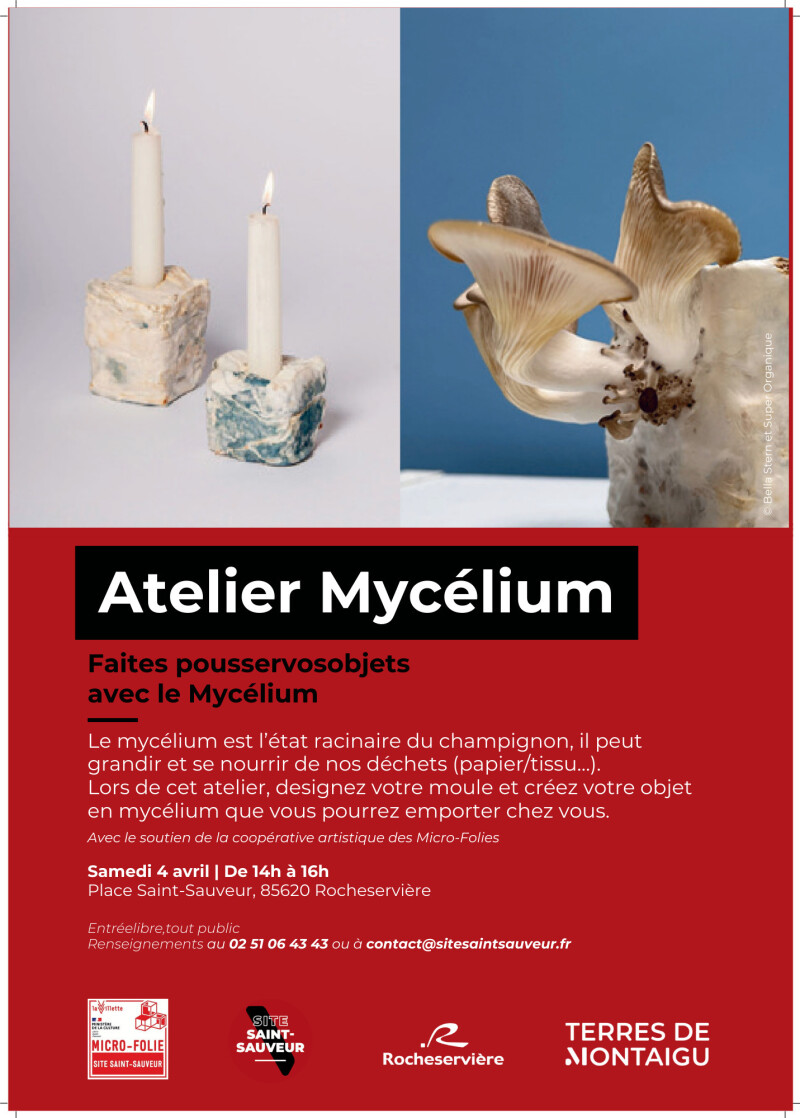 Atelier fabrication objet avec du mycélium
