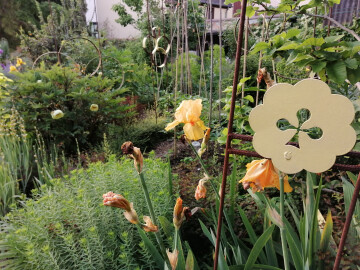 Ouverture exceptionnelle pour une évasion assurée