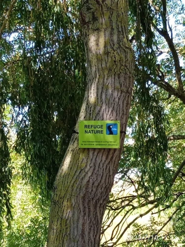 GRANVILLE/50 : Animation Refuge du GONm