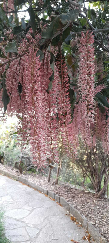 visite guidée du Parc Gonzalez