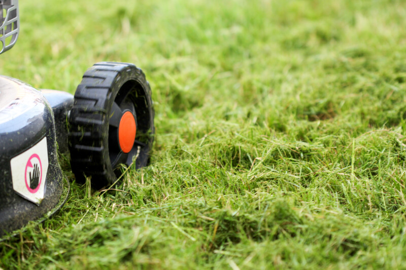 Atelier Mieux (et moins) tondre pour le bonheur de mon jardin