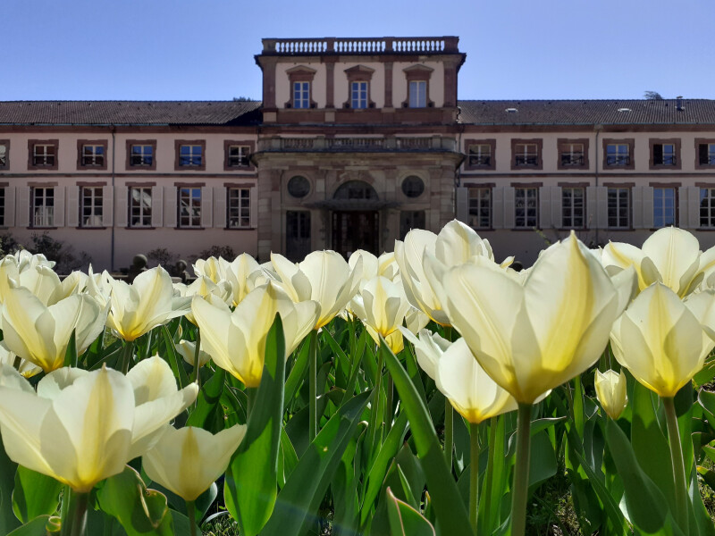 Exposition "Au fil de l'industrie"