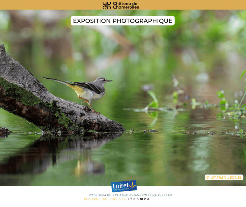 Exposition photographique nature "Voyage au coeur du Loiret"