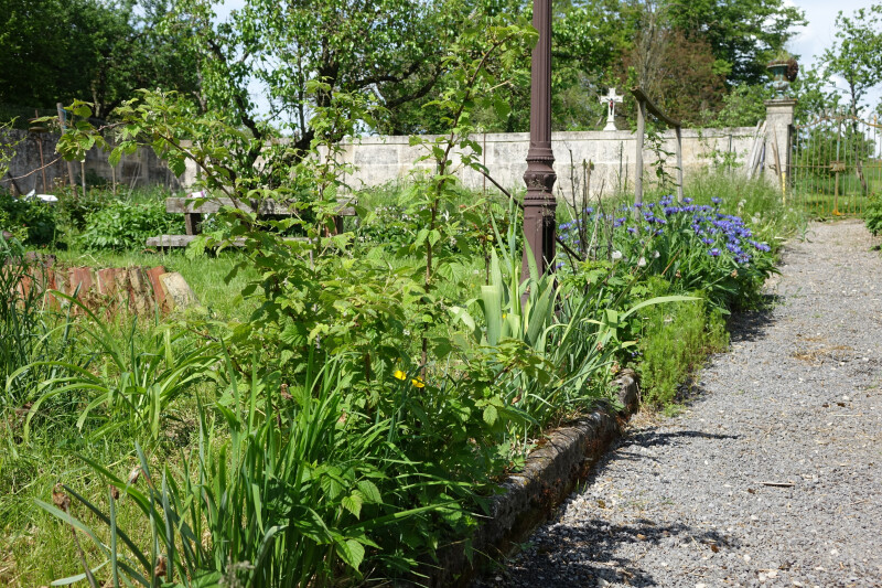 Découverte d'un jardin tout à la fois médiéval, paysager et verger expérimental