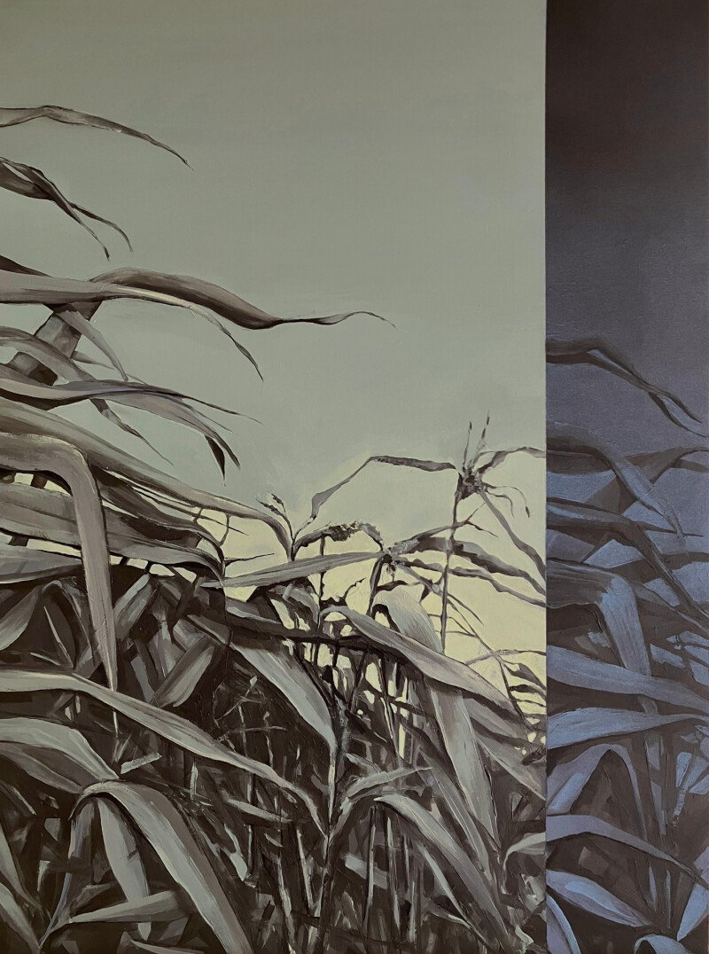 Exposition Esquisses vertaviennes : Lorsque tombe la nuit