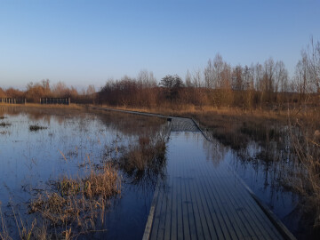 Escape Game : panique inondation