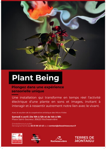 Micro-Festival Plant Being