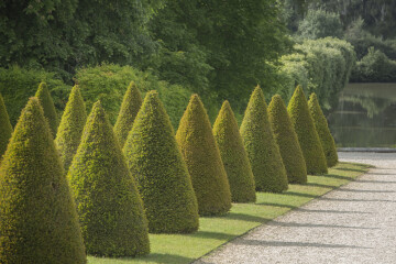 Atelier Famille - Bon pied, Bon Œil -