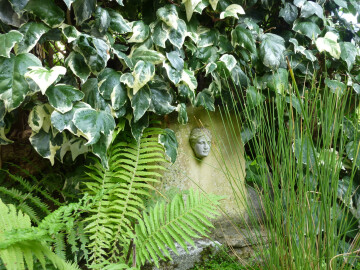 Visite d'un jardin d'artiste