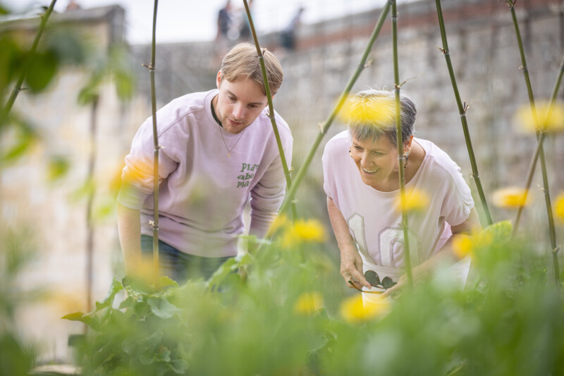 À la rencontre des animaux du jardin