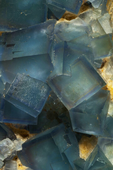 Visite contée : Raconte-moi un caillou