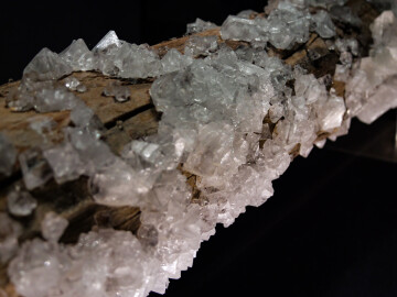 Visite insolite : L’art de la synthèse