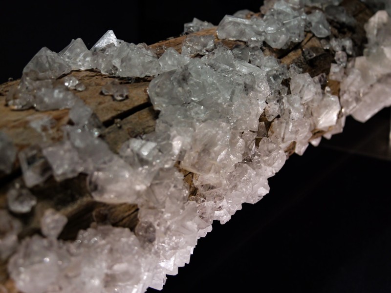 Visite insolite : L’art de la synthèse