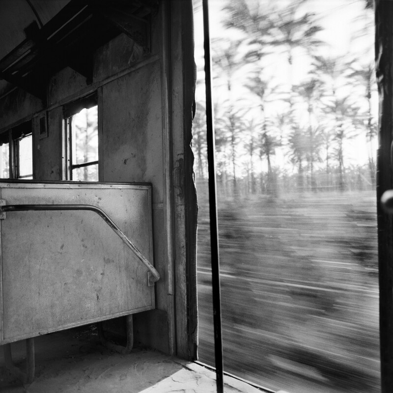 Visite guidée et vernissage - Un lion derrière la vitre