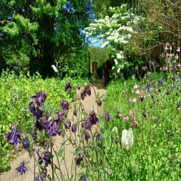 ALAIJE fête le printemps