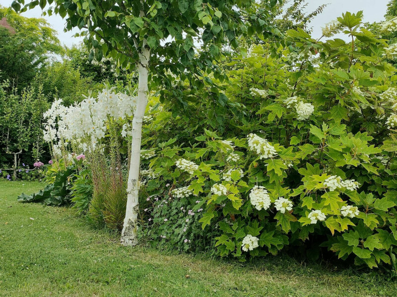 Un jardin d’exception, entre structure et poésie végétale