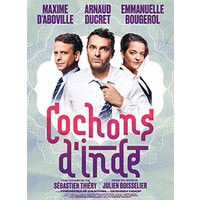 Cochons d'inde
