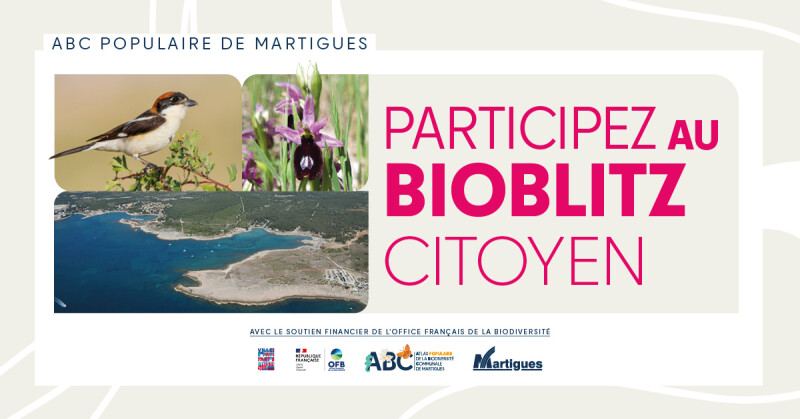 Atlas populaire de la Biodiversité Communale (ABC) : " Bioblitz des Laurons (inventaire naturaliste citoyen) "