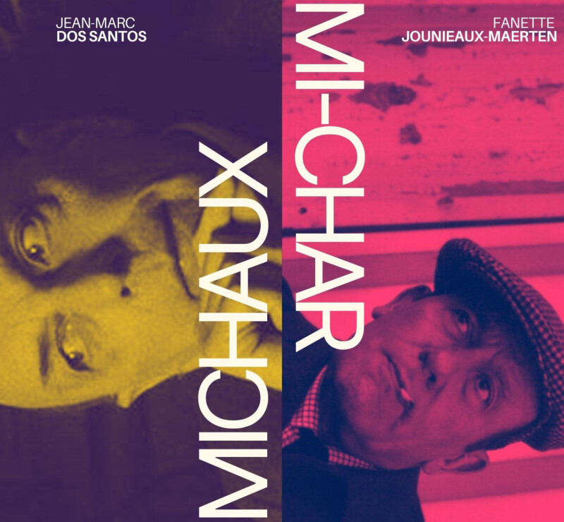 Michaux mi-Char : deux poètes dans les preuves