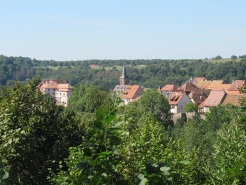 Création d'une fresque collective dans le jardin