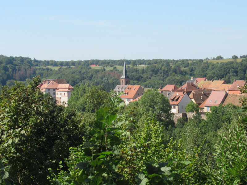 Création d'une fresque collective dans le jardin