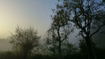 Exposition « Sculptures en Jardins » de Daniel Lafouge