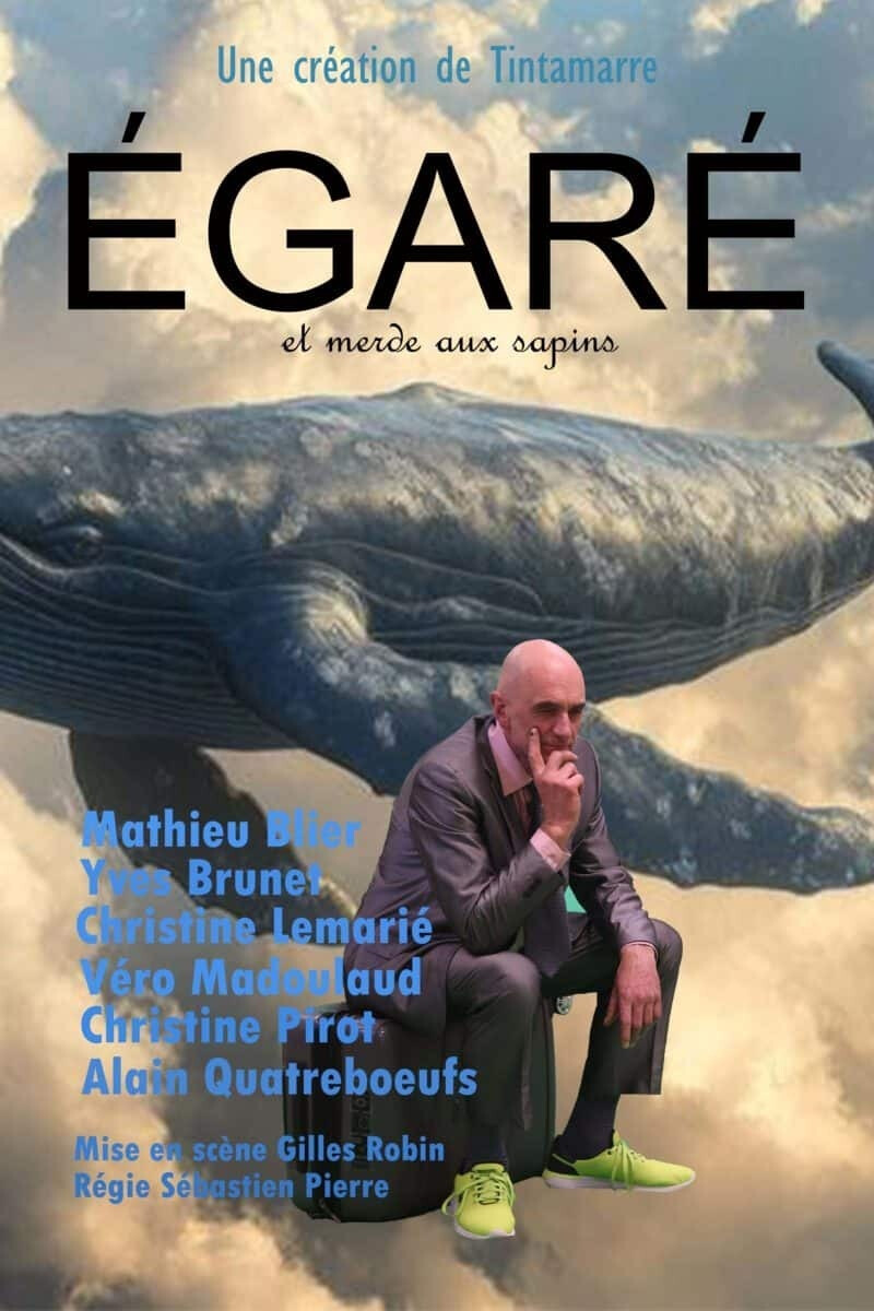 Égaré et merde aux sapins !