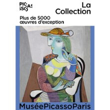 Billet Musée Picasso-Paris - La Collection