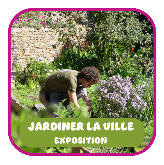 Exposition : Domaine du Rayol, jardin des méditerranées