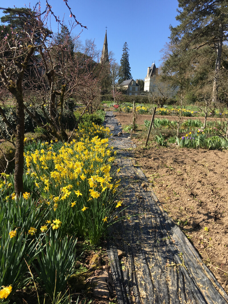 Visite du parc et du jardin du château d'Epiré, 10 rue Thierry sandre, 49170 Savennières (entrée place de la vieille église)
