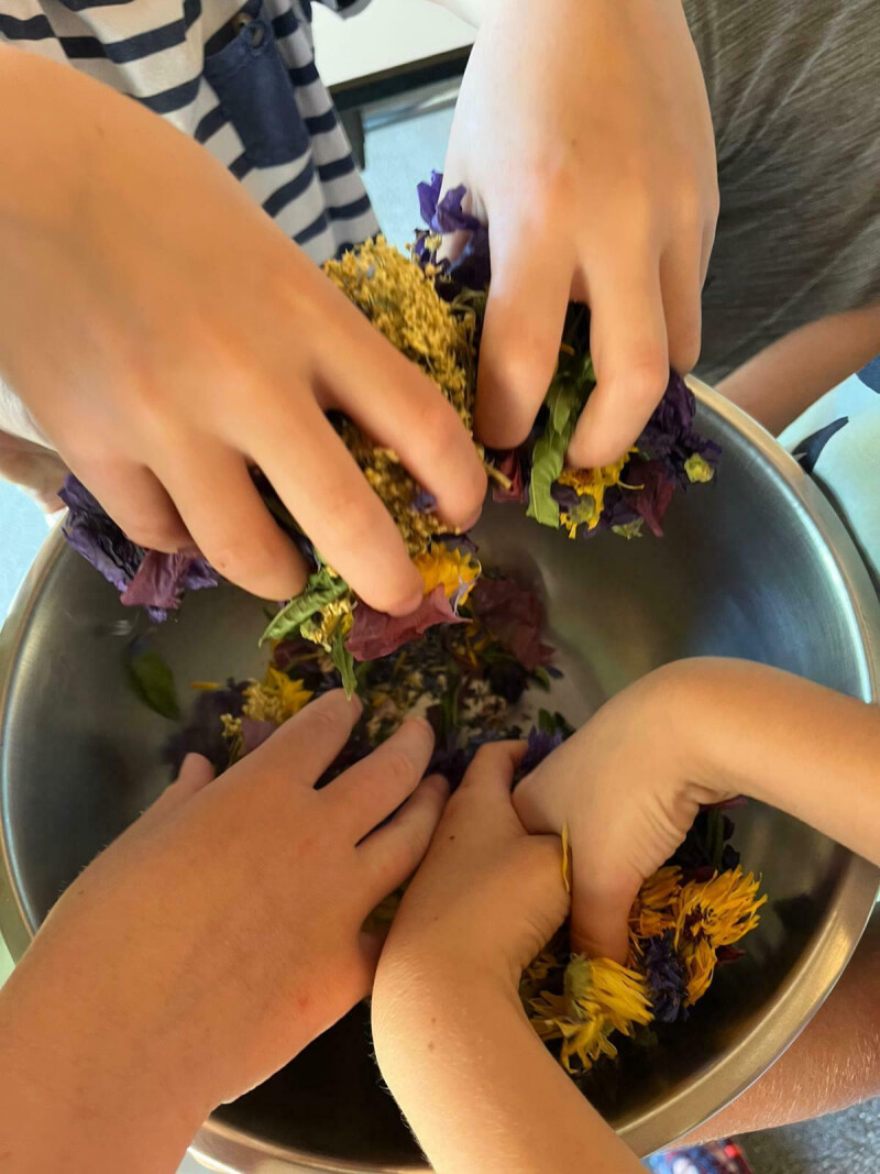 Atelier plantes magiques dans le jardin de l'abbaye